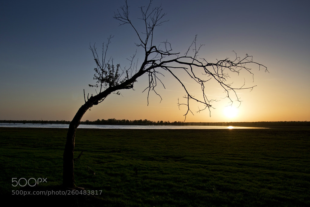 Canon EOS 7D Mark II sample photo. Lonely photography