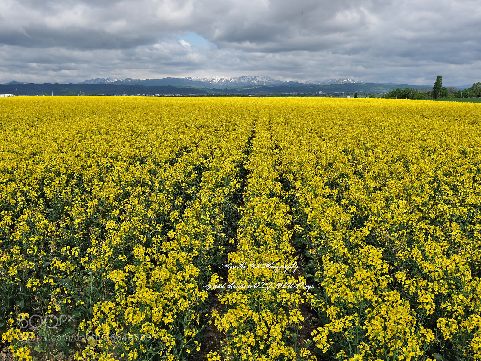 Olympus OM-D E-M1 Mark II sample photo. Late spring in hokkaido photography