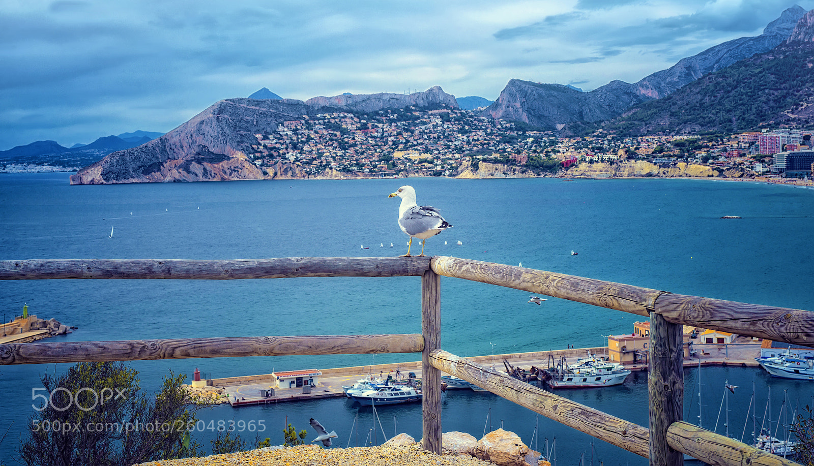 Nikon D600 sample photo. On ifach rock photography