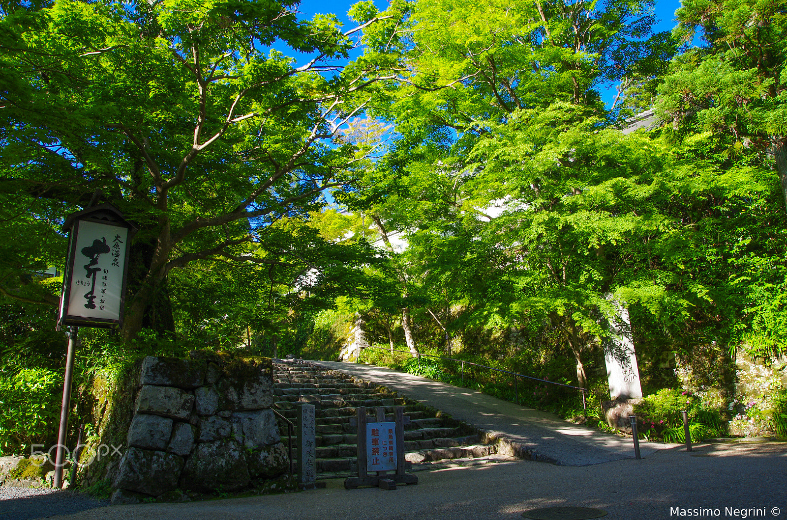 Pentax K-5 IIs sample photo. 三千院 photography