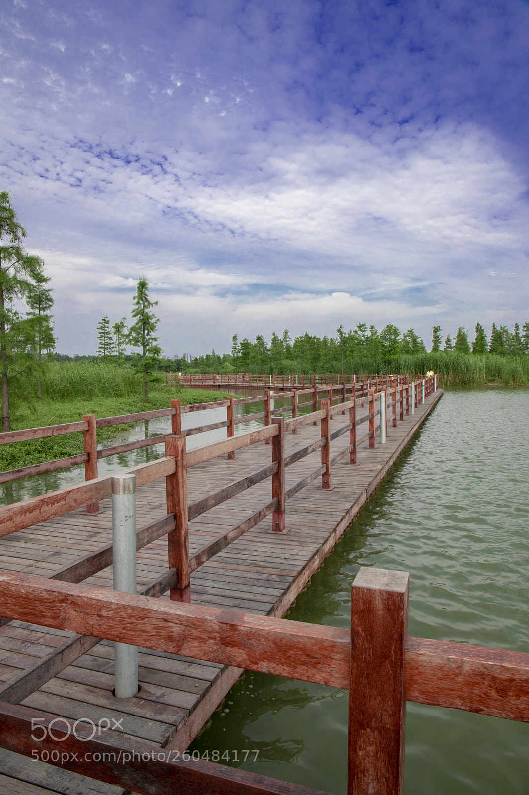 Canon EOS 6D Mark II sample photo. Untitled photography