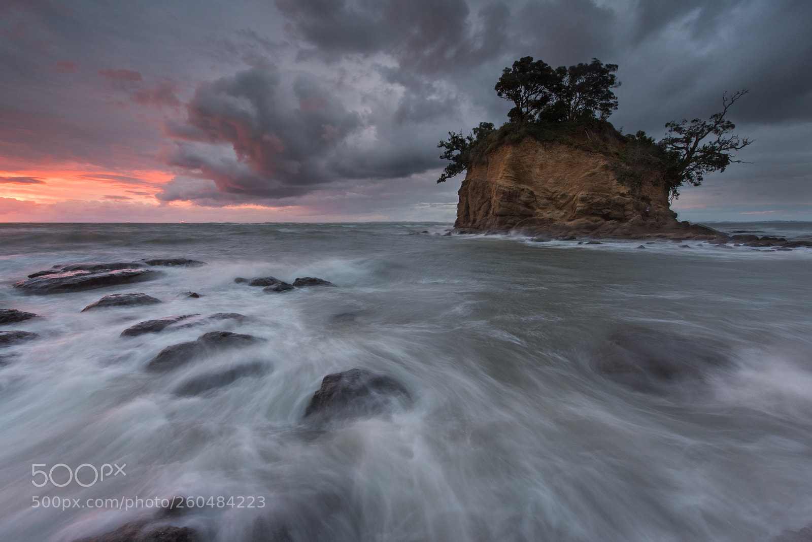 Nikon D810 sample photo. Windswept photography