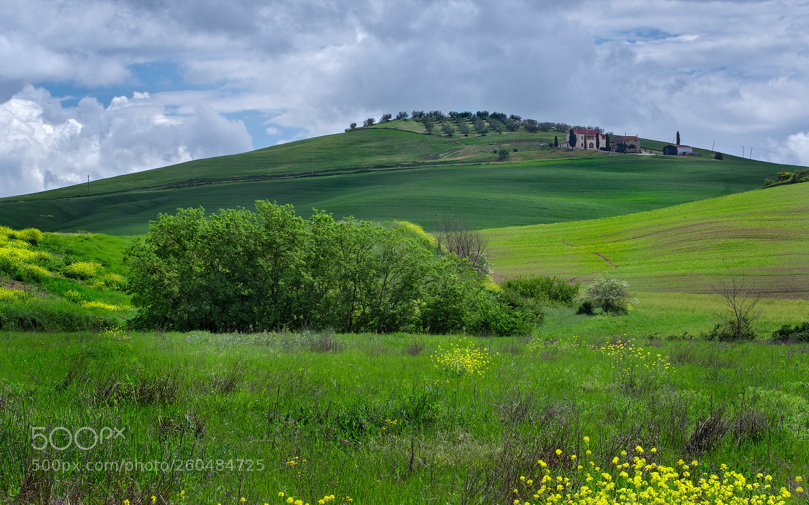 Pentax K-3 II sample photo. Landscape of tuscany around photography