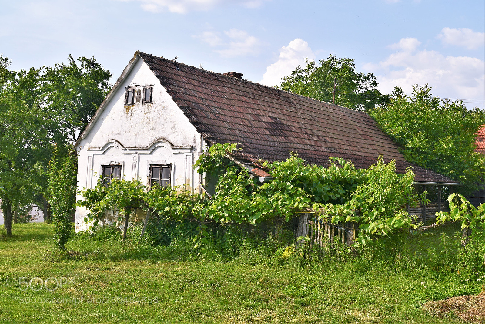Nikon D3300 sample photo. Country home photography