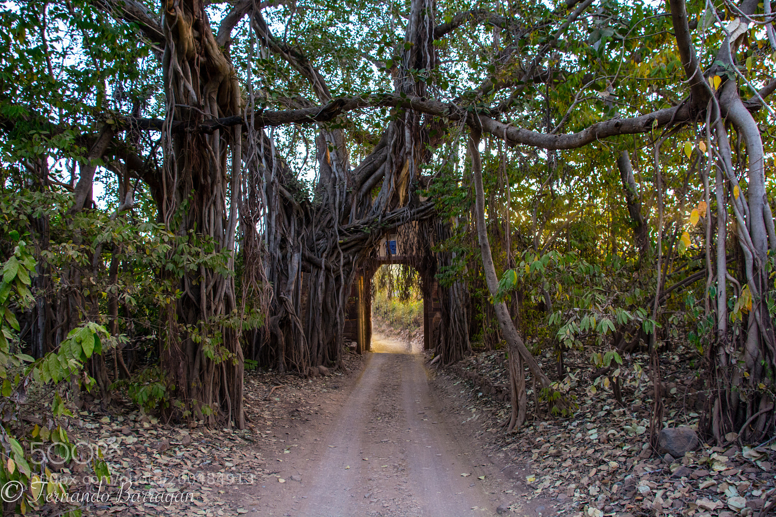 Nikon D7100 sample photo. Raghtambore puerta (de ) photography