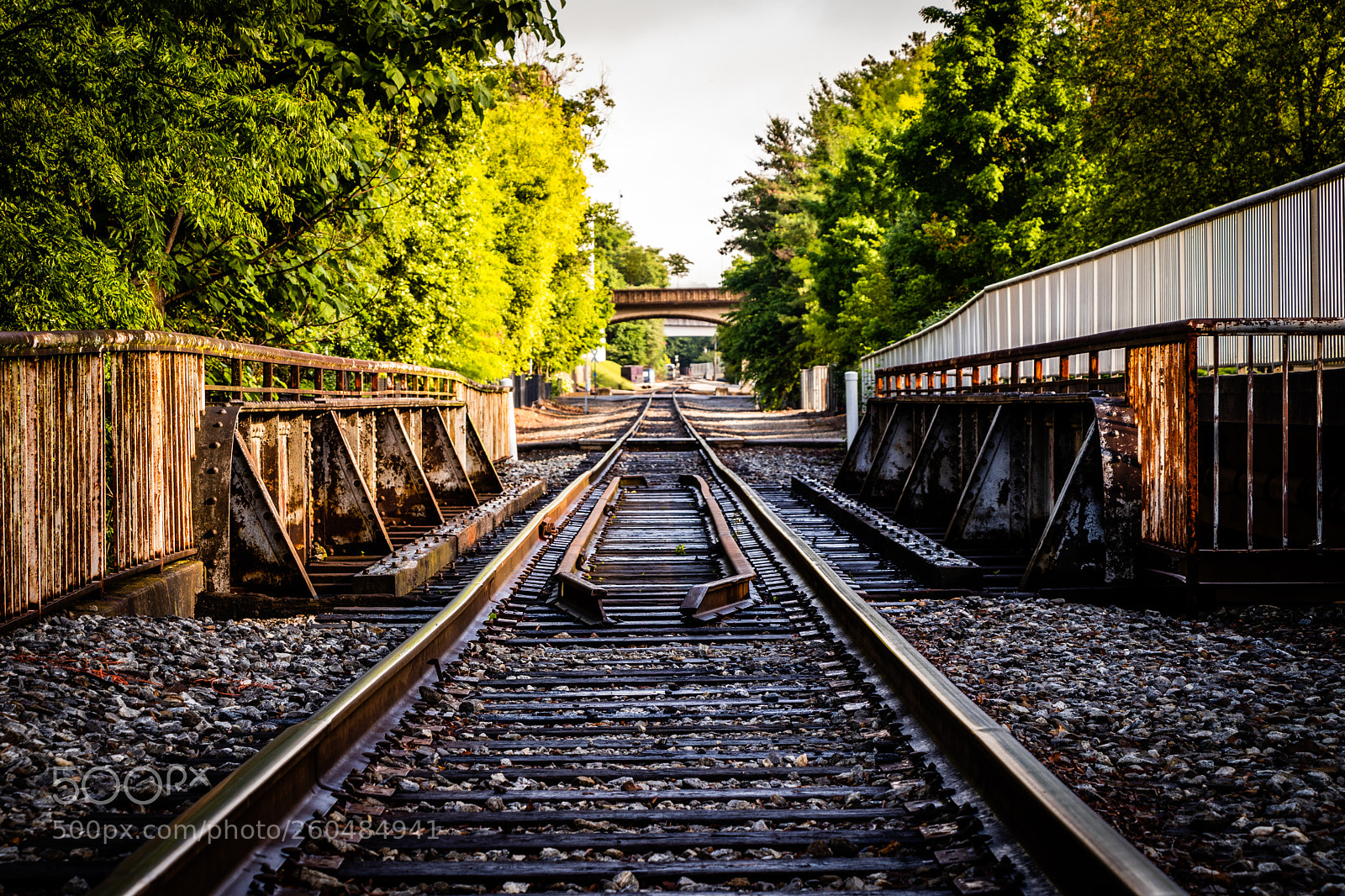 Canon EOS 80D sample photo. Train rails photography
