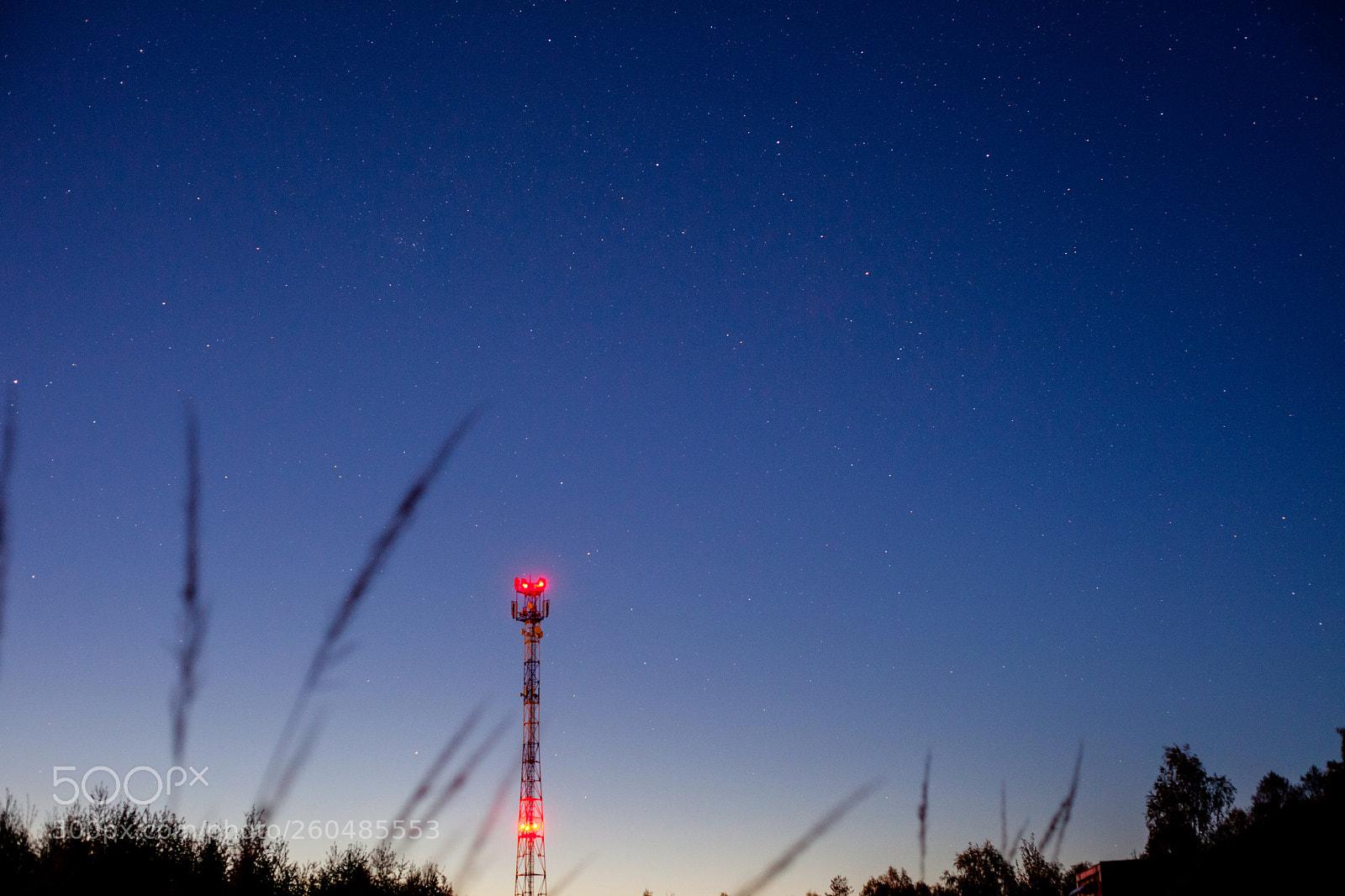 Canon EOS 5D Mark II sample photo. Img photography