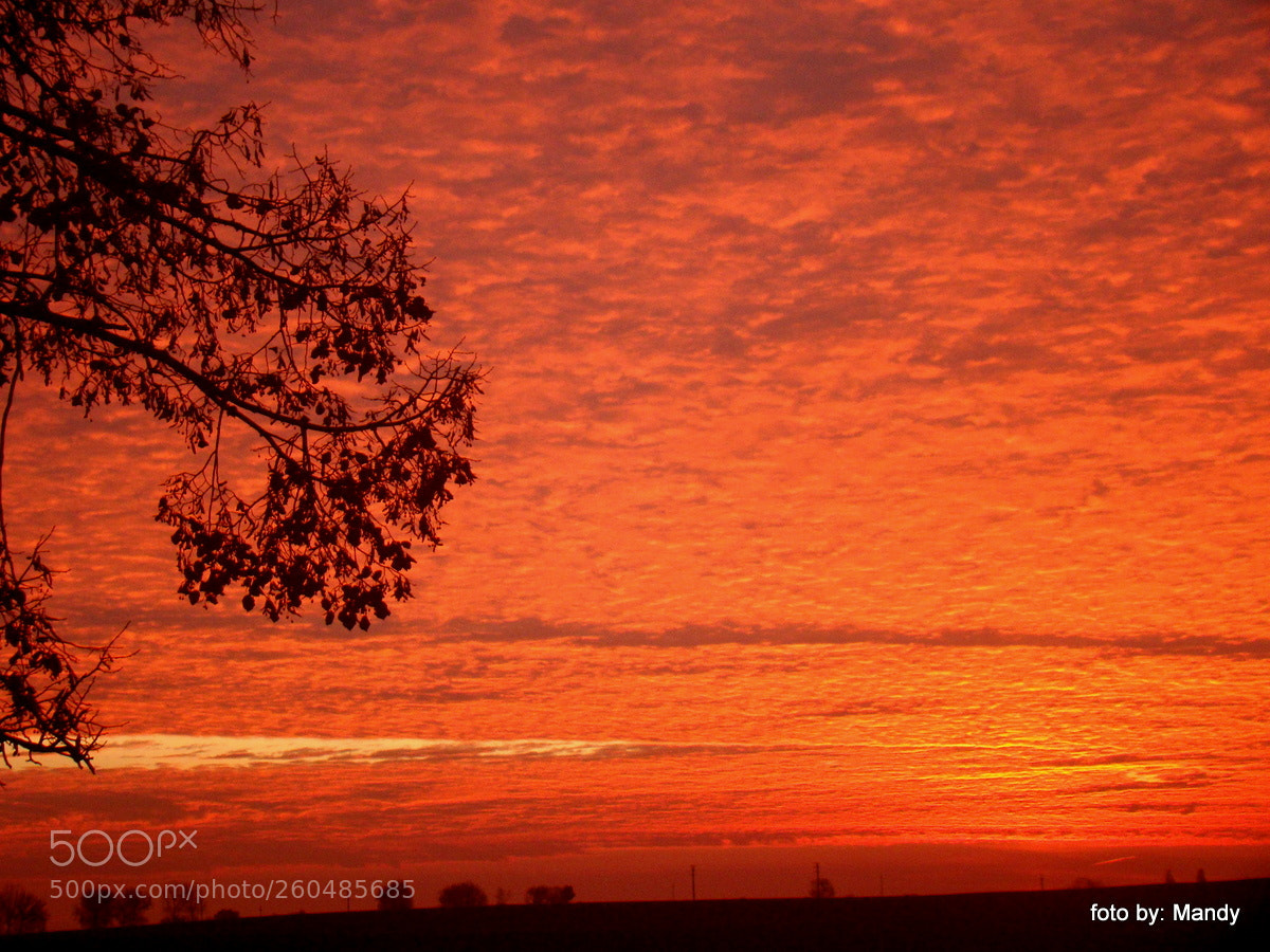 Sony Cyber-shot DSC-H50 sample photo. Blazing sky photography