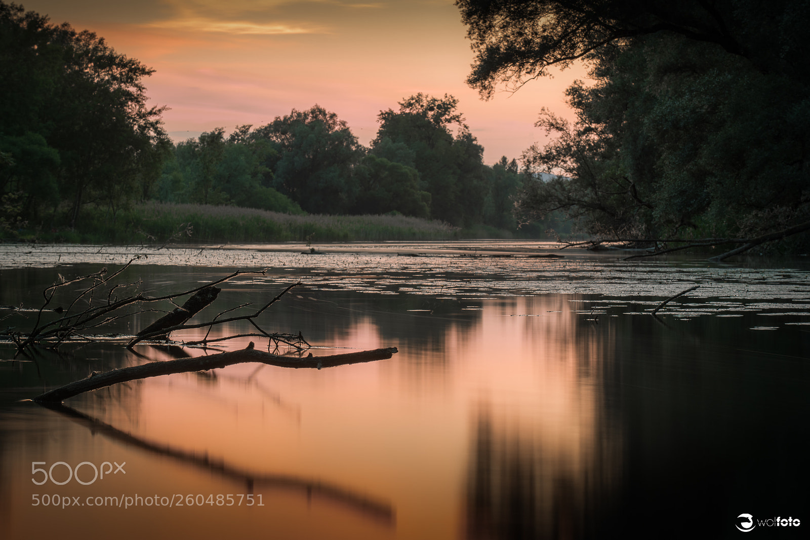 Nikon D850 sample photo. Reflection photography