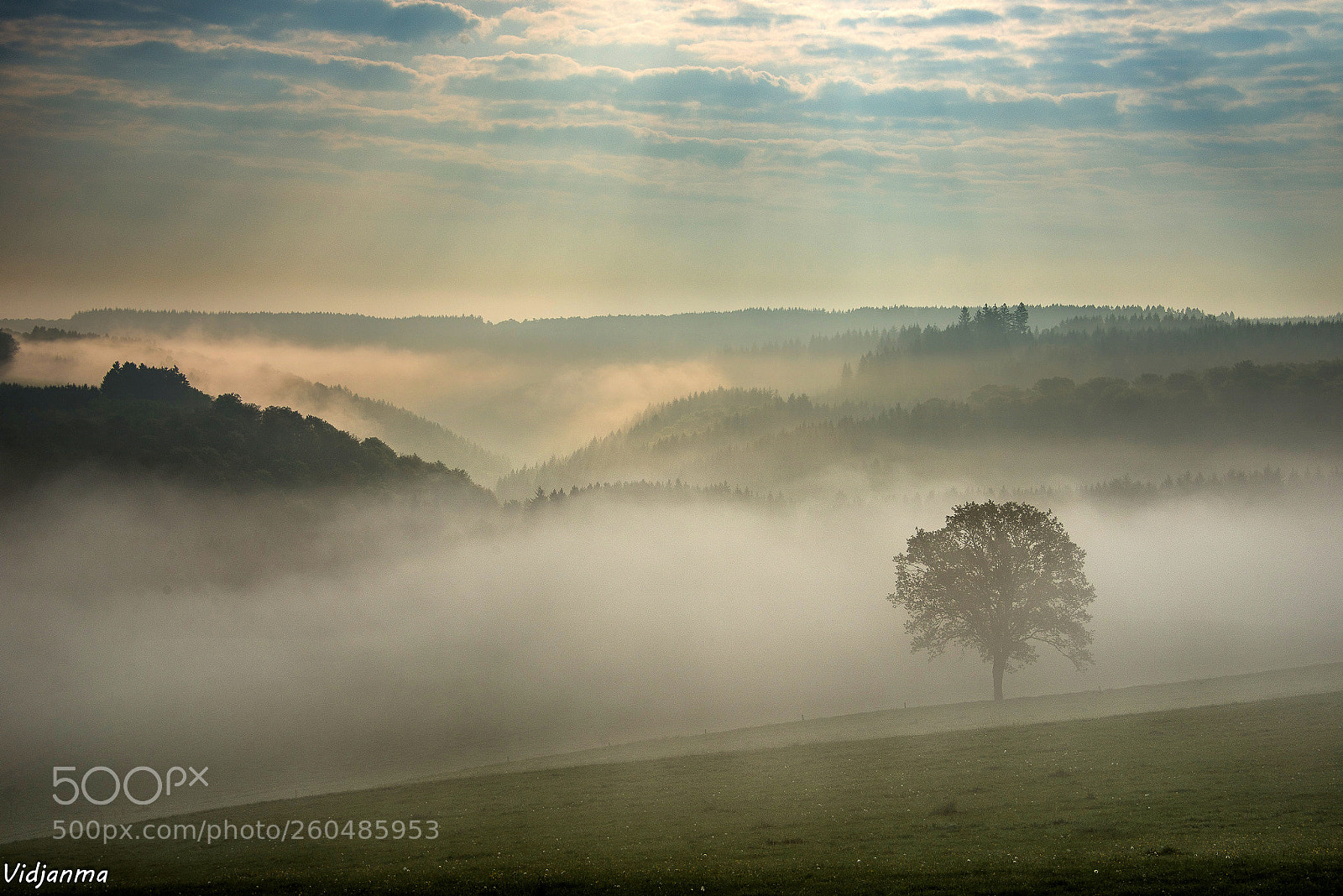 Nikon D610 sample photo. Bright sunrise photography