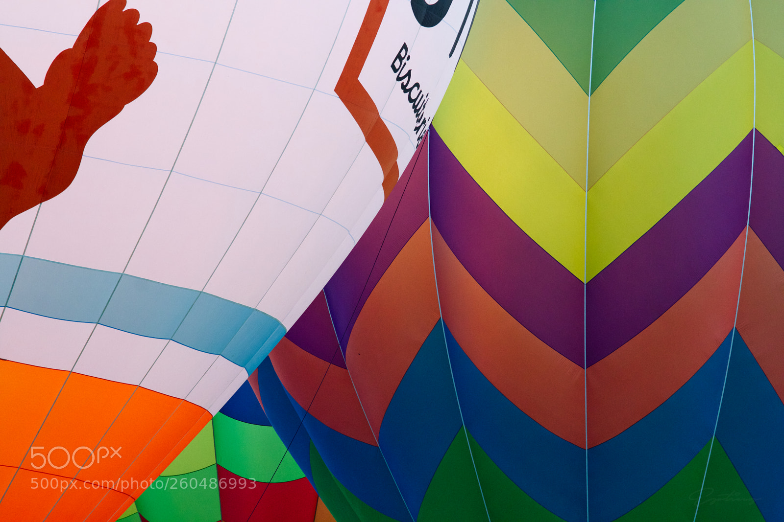 Canon EOS 70D sample photo. Hot air balloon photography