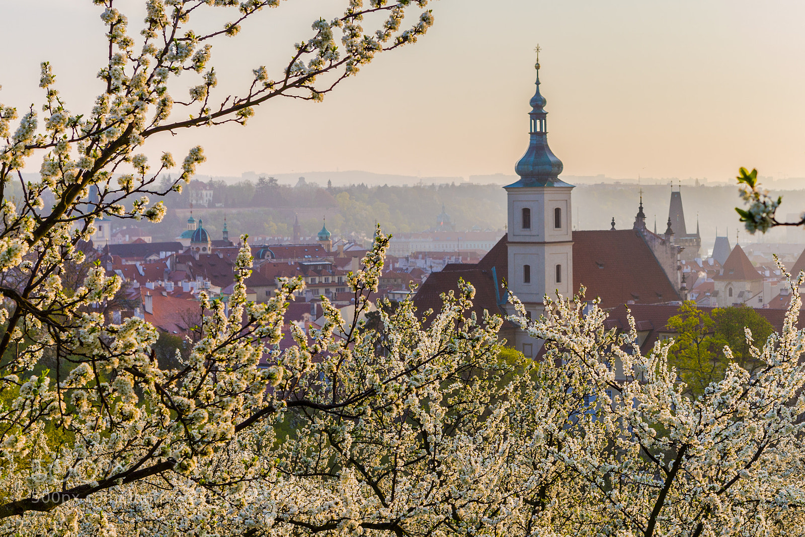 Canon EOS 5D Mark II sample photo. One spring morning photography