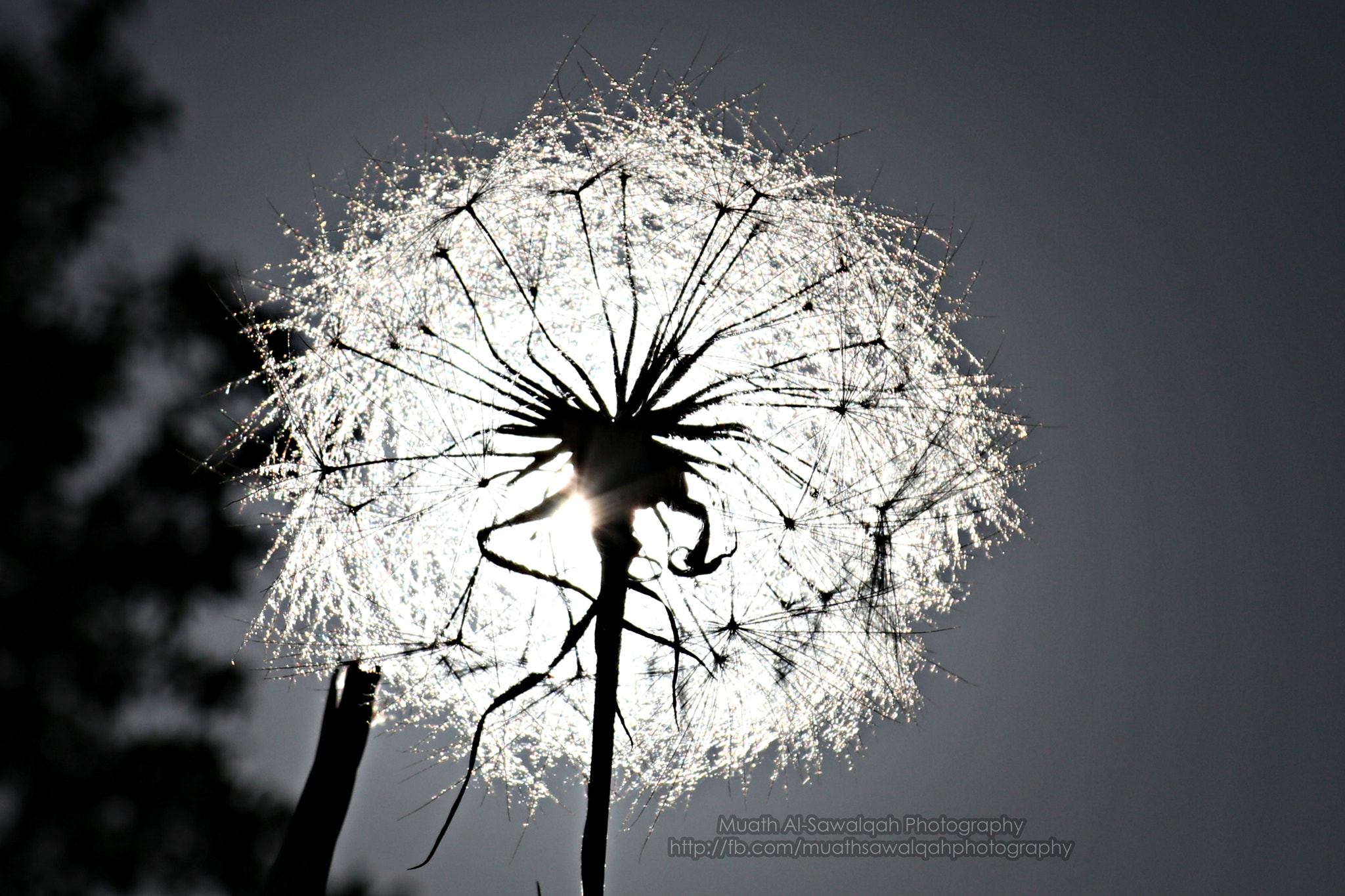 Canon EOS 80D sample photo
