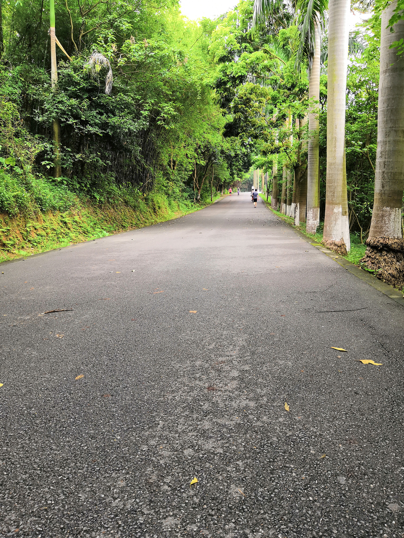 HUAWEI Honor 10 sample photo. 11 photography