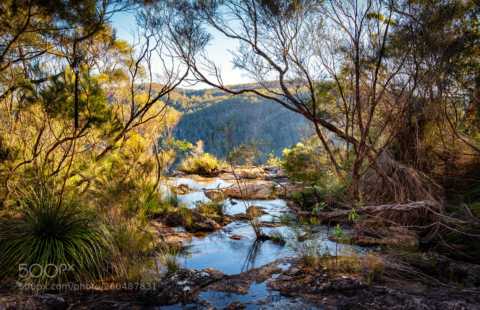 Fujifilm GFX 50S sample photo. The view photography