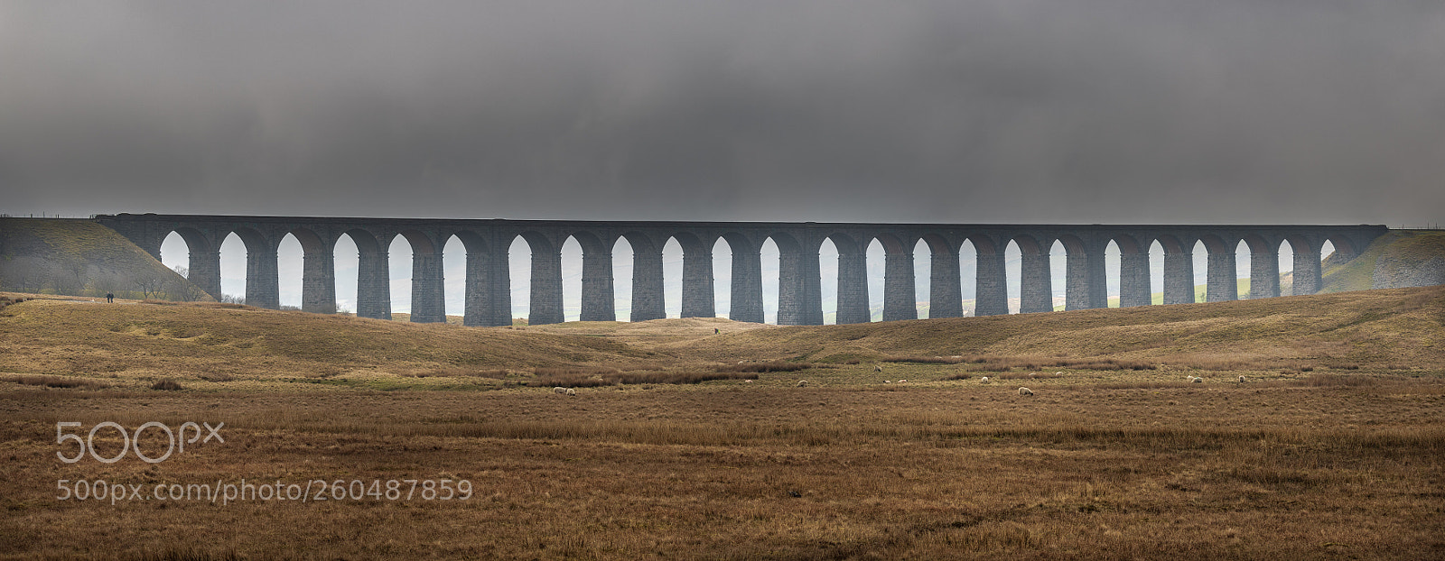 Canon EOS 7D Mark II sample photo. Ribbleheadd viaduct (of ) photography
