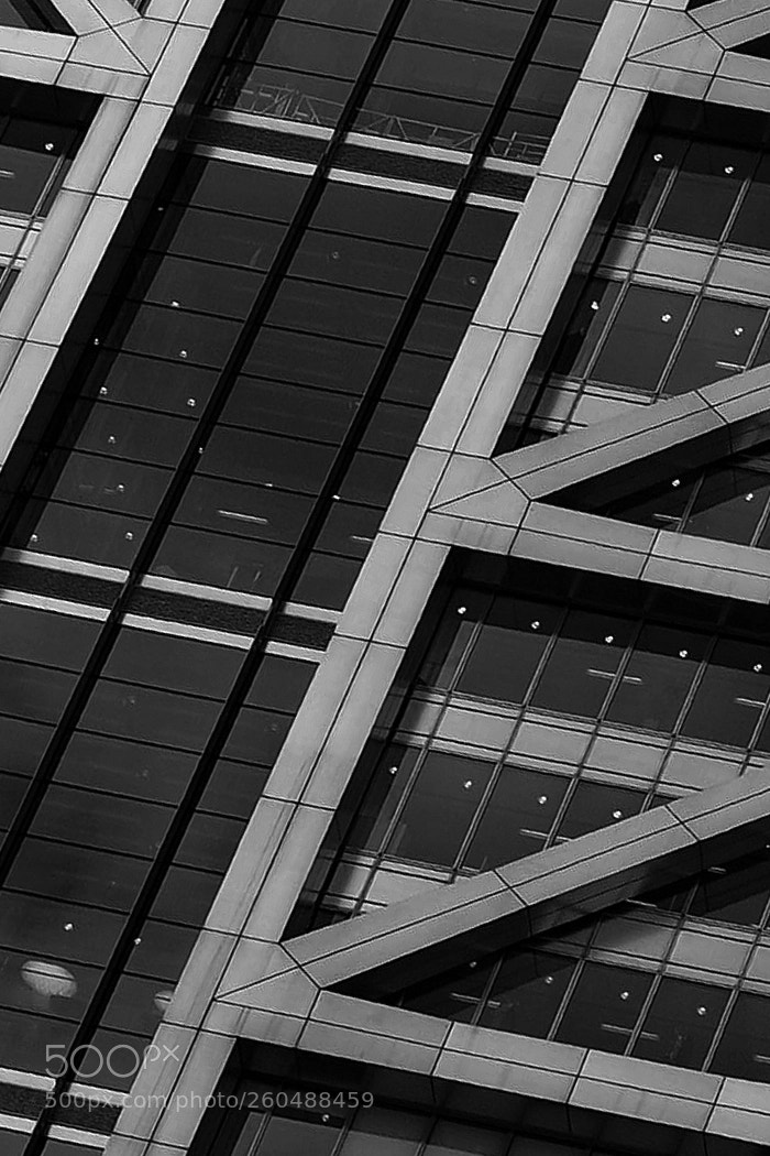 Nikon D90 sample photo. Architectural gymnastics photography