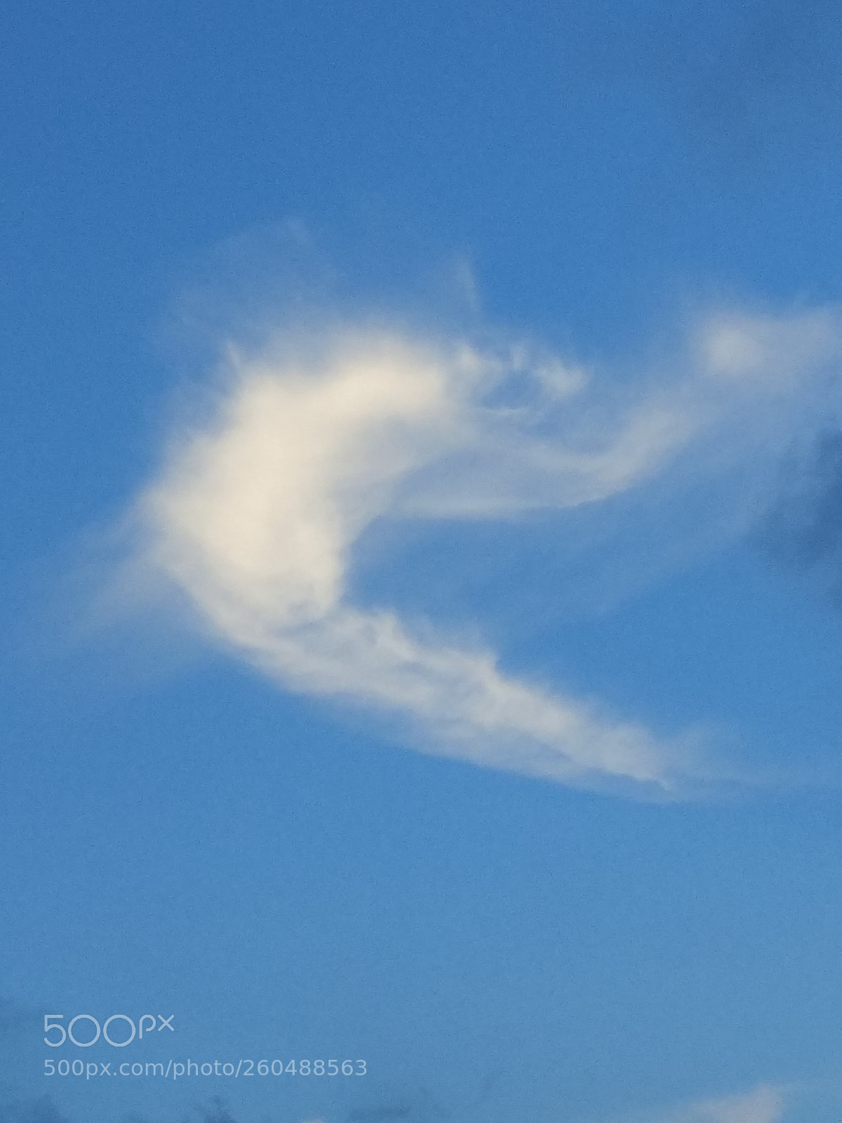 Xiaomi Redmi Note 4 sample photo. Cloud dancer photography
