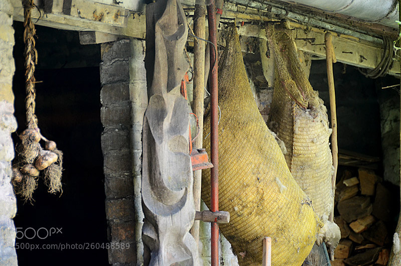 Nikon D7000 sample photo. At the farm... photography