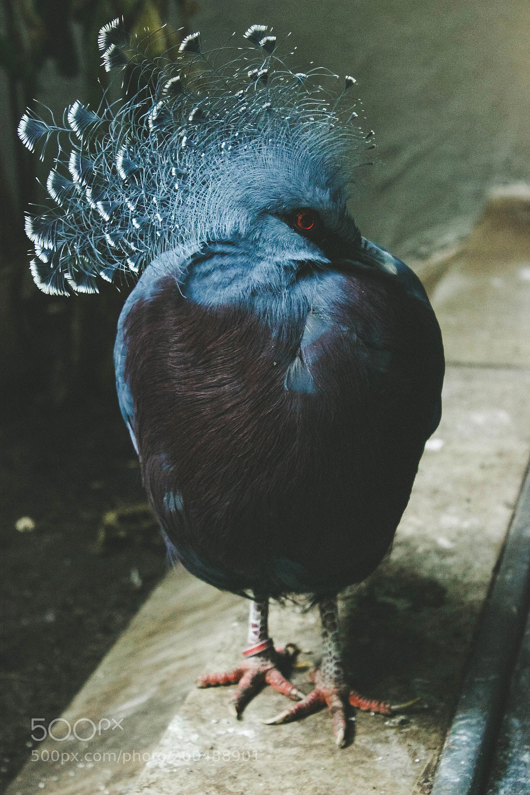 Canon EOS 600D (Rebel EOS T3i / EOS Kiss X5) sample photo. The netherlands photography