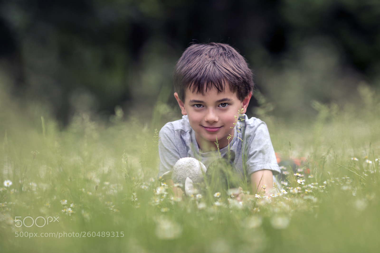 Nikon D750 sample photo. Down in the meadow photography