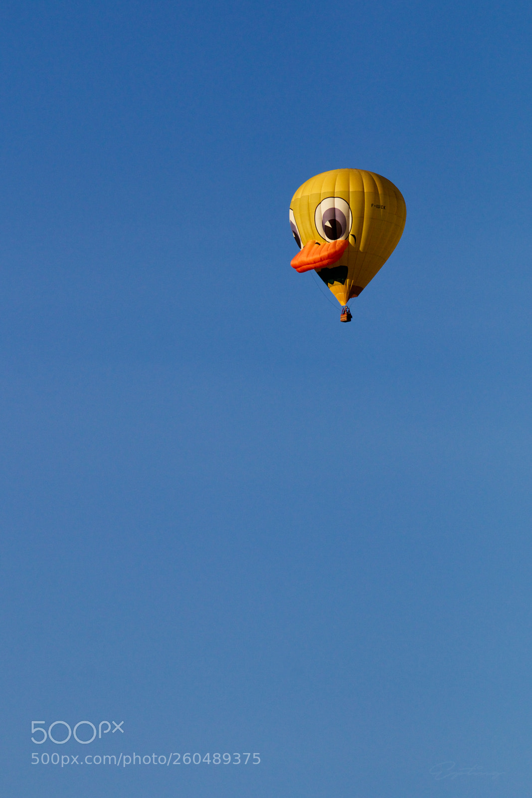 Canon EOS 70D sample photo. Hot air balloon duck photography