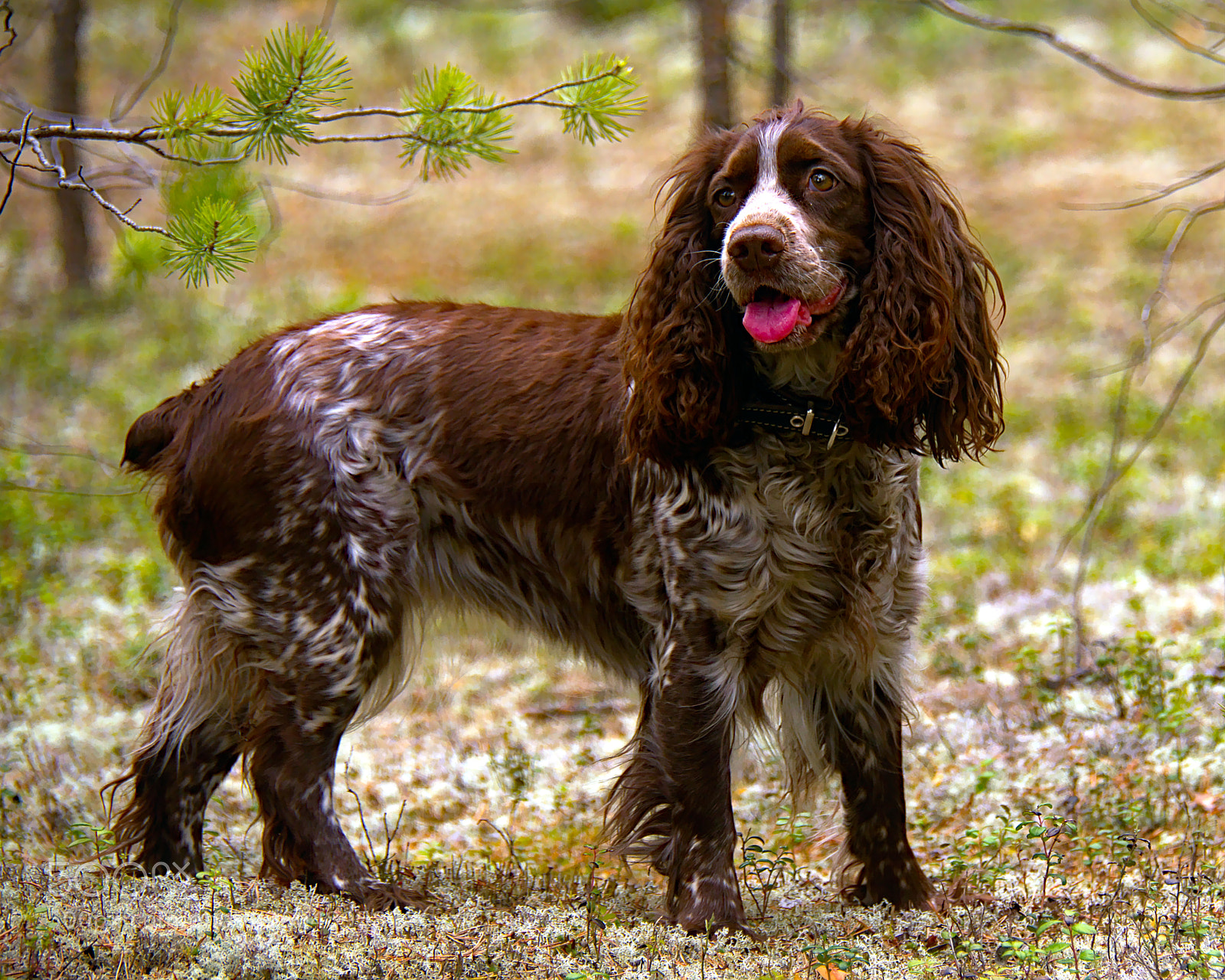 Nikon D7000 sample photo. Hunter photography