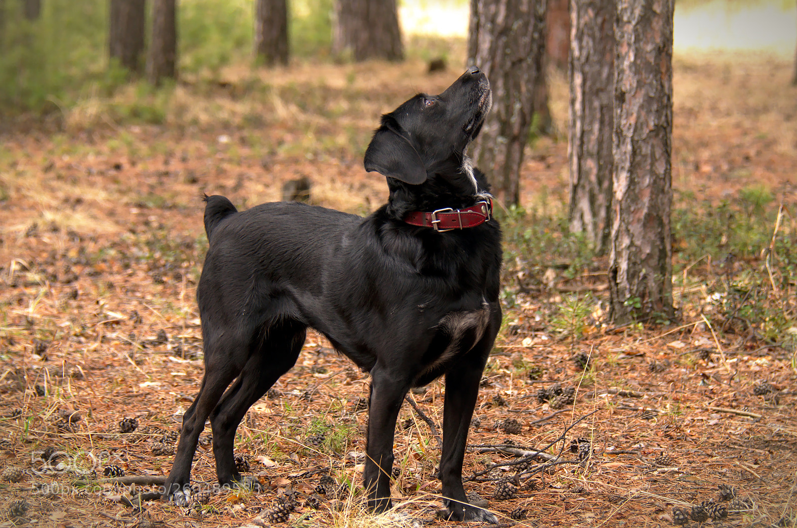 Nikon D7000 sample photo. Hunter photography
