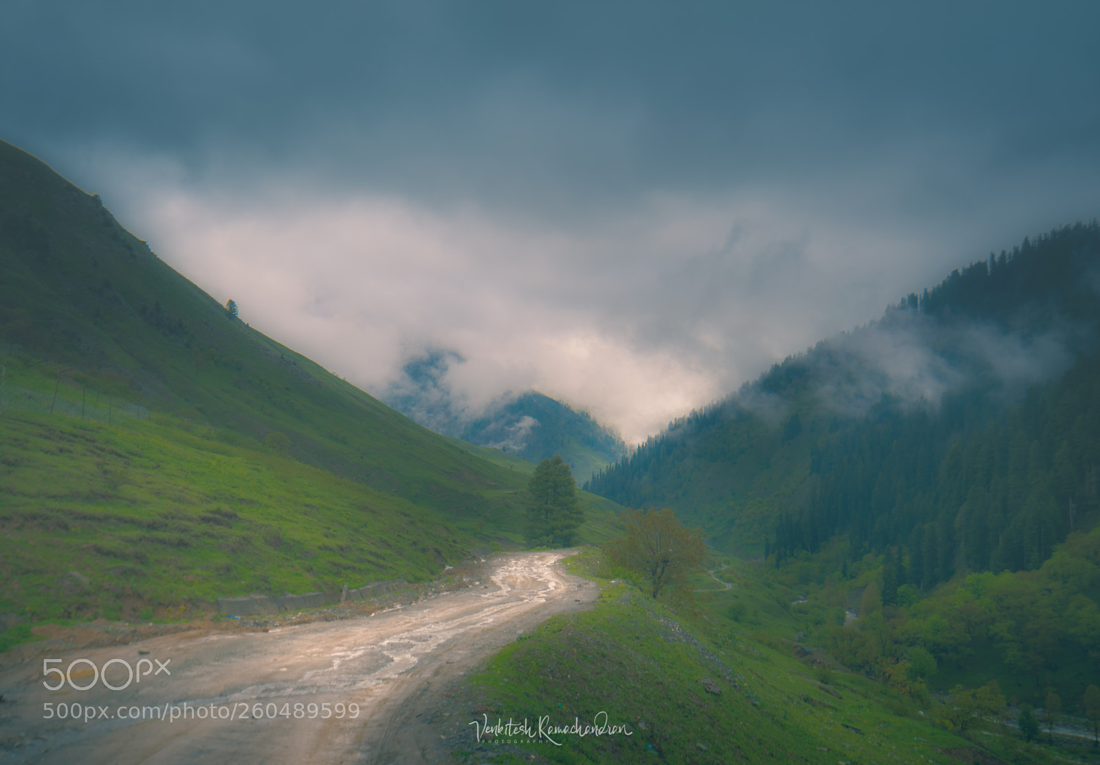 Nikon D750 sample photo. A foggy morning photography