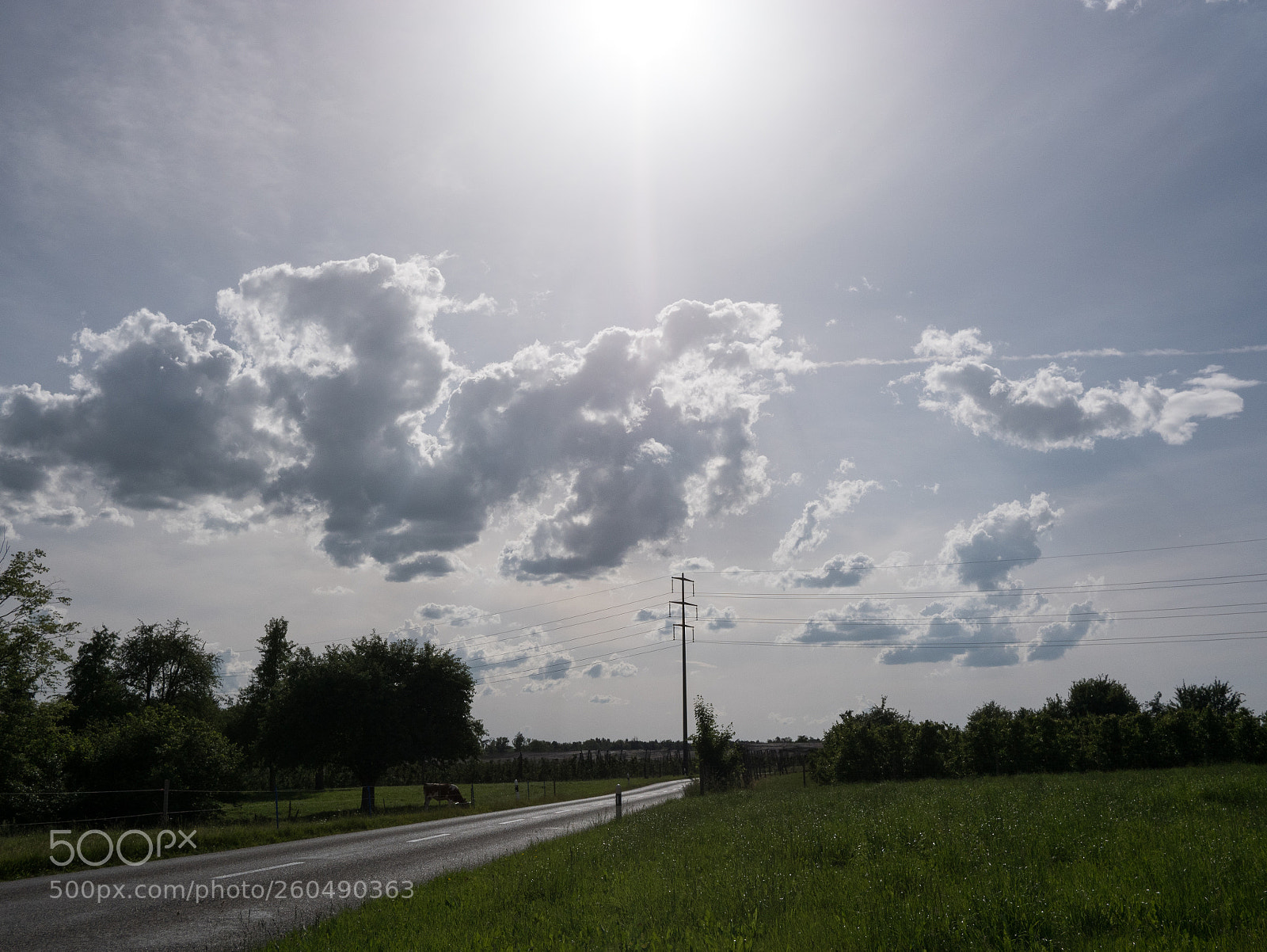 Panasonic Lumix DMC-GX85 (Lumix DMC-GX80 / Lumix DMC-GX7 Mark II) sample photo. 20180528-_1020433 photography