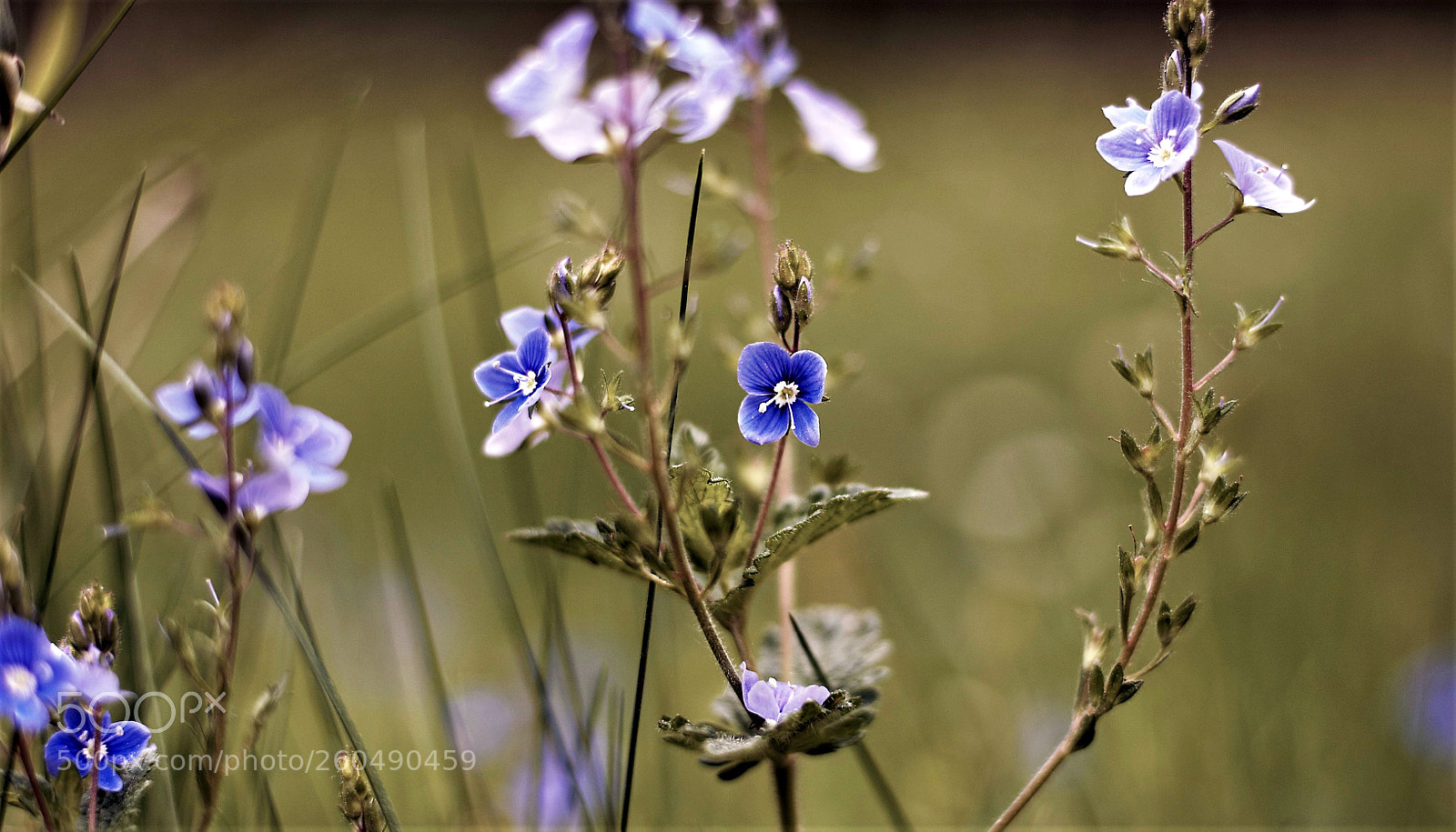 Canon EOS 6D sample photo. Img photography