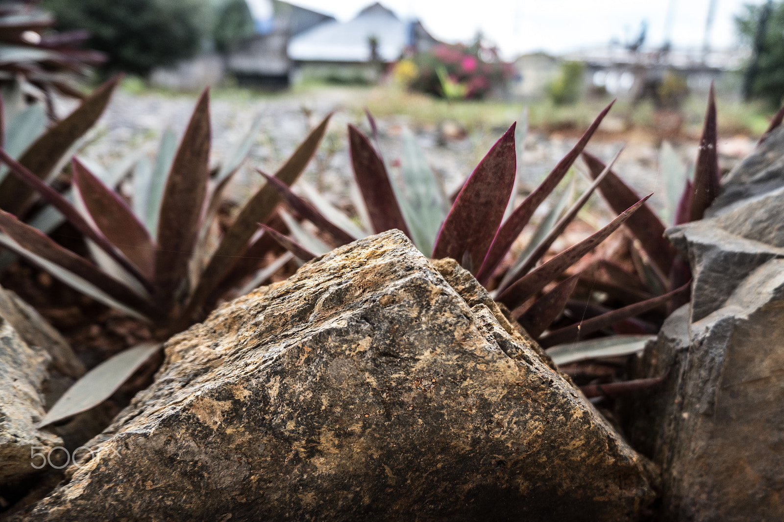 Fujifilm X-A10 sample photo. Closeuprock photography