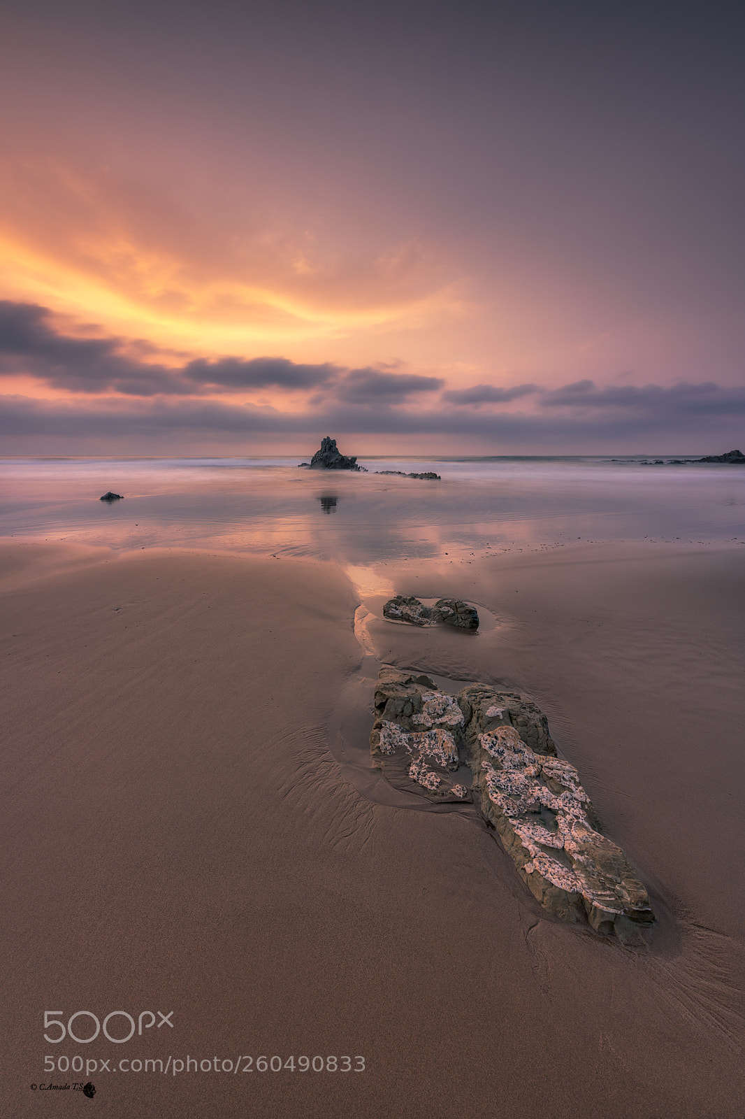 Nikon D850 sample photo. Dorado atardecer photography