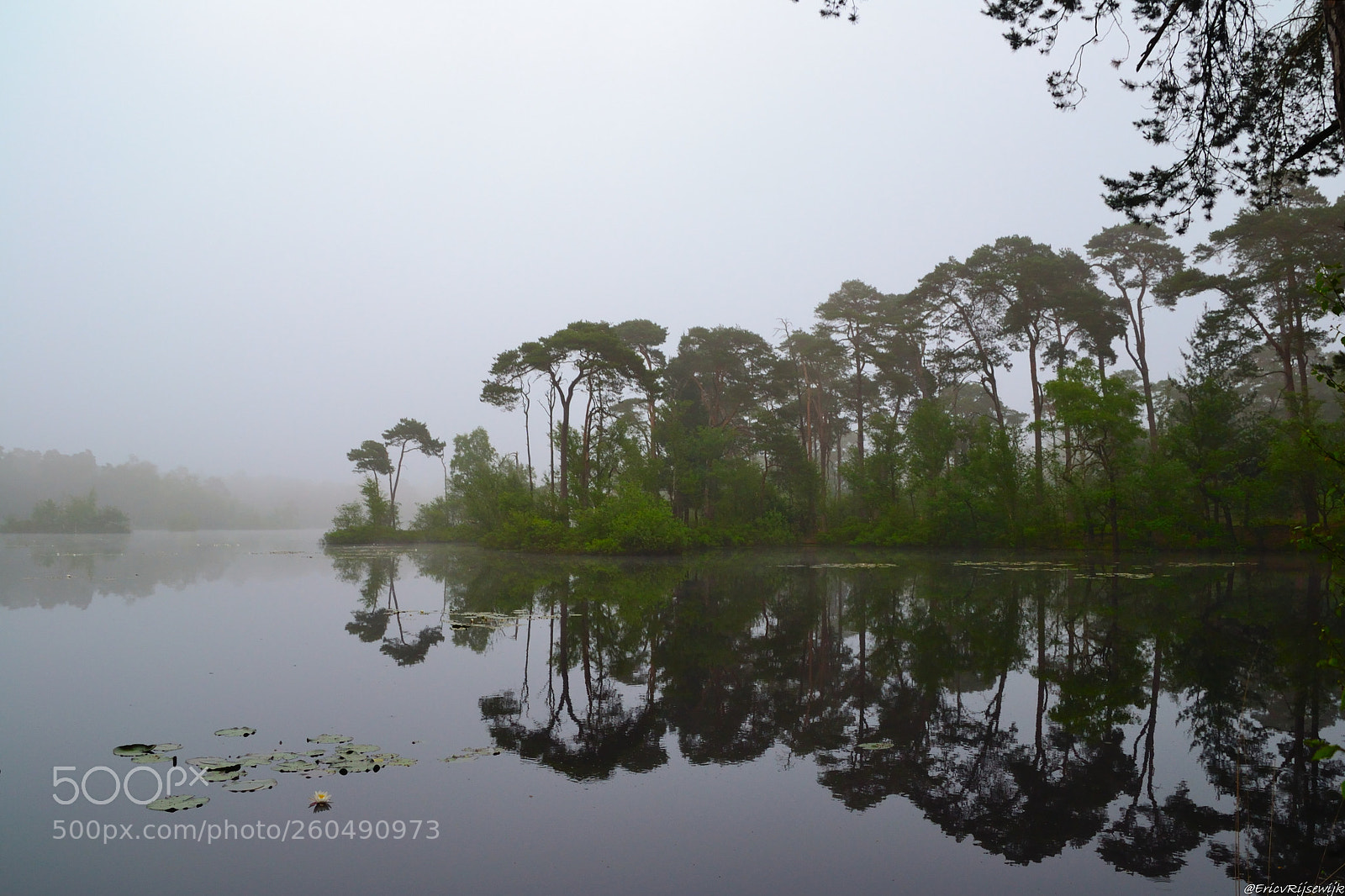 Nikon D3100 sample photo. Misty morning photography