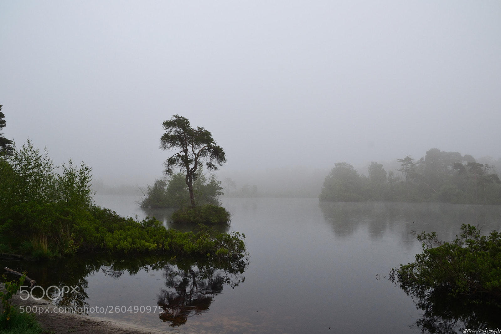 Nikon D3100 sample photo. Misty morning photography