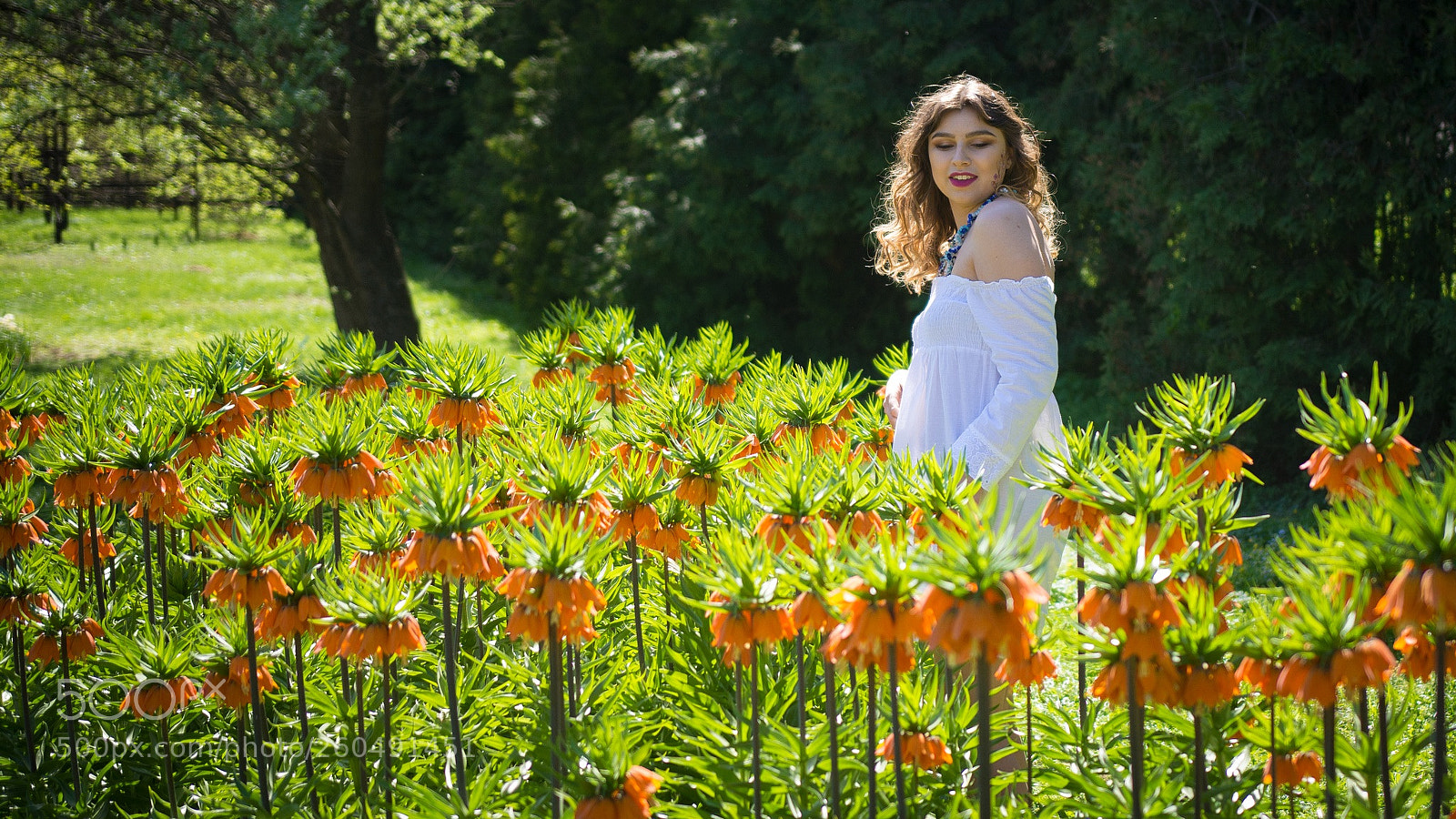 Nikon D7100 sample photo. ... in flowers photography
