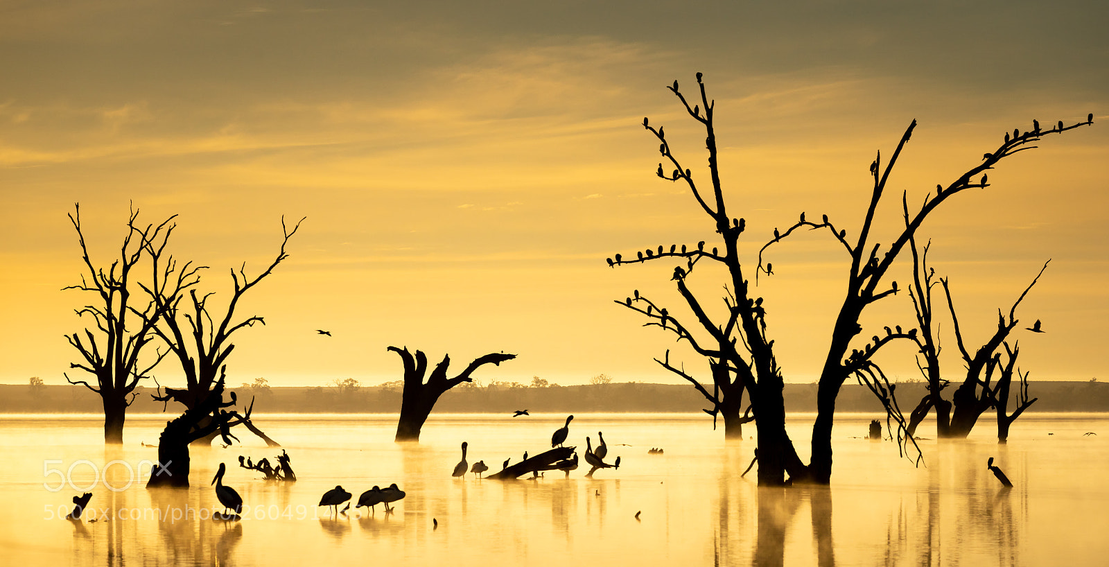 Nikon D810 sample photo. River life photography