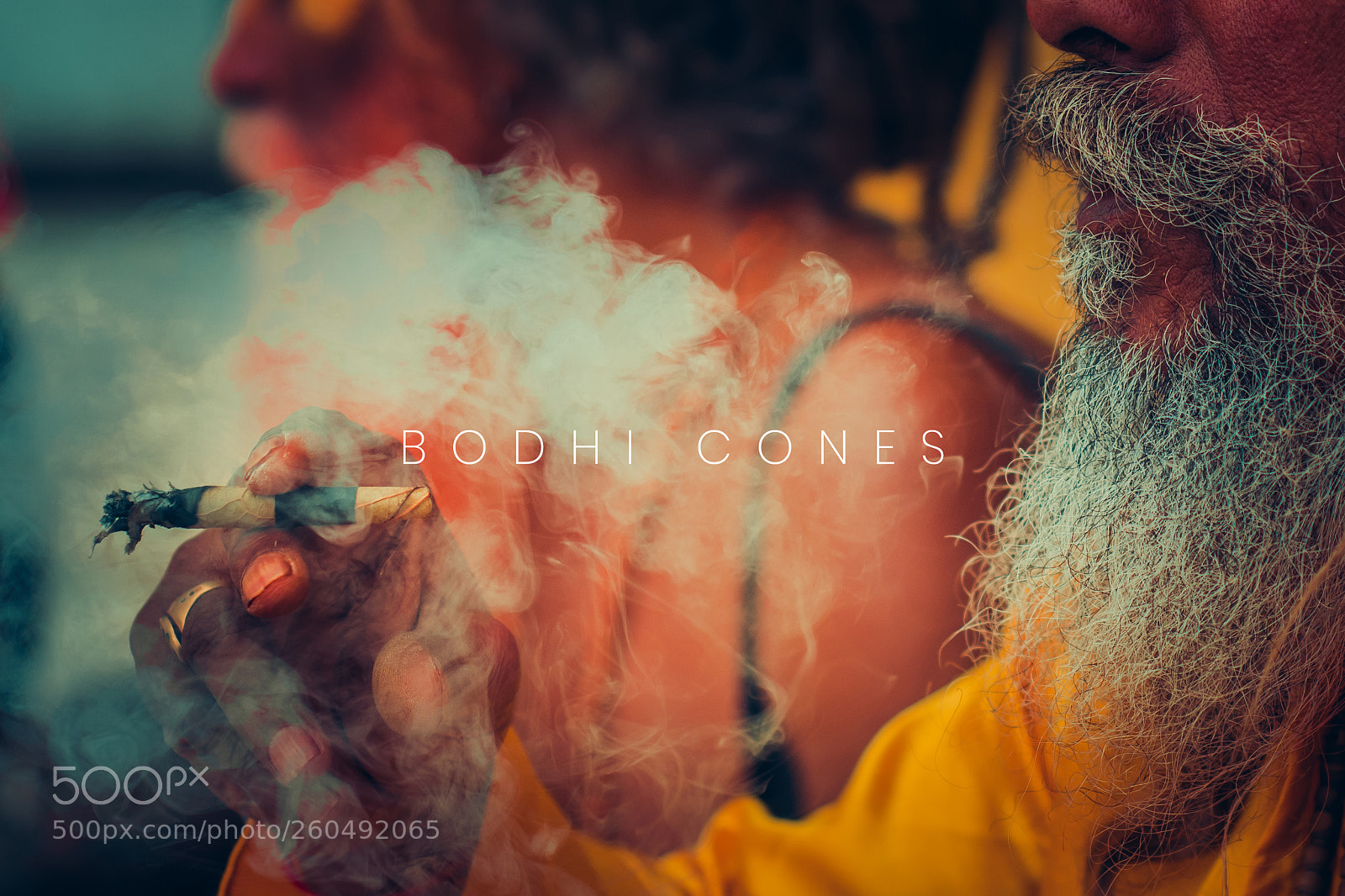 Nikon D7500 sample photo. Bodhi cones photography