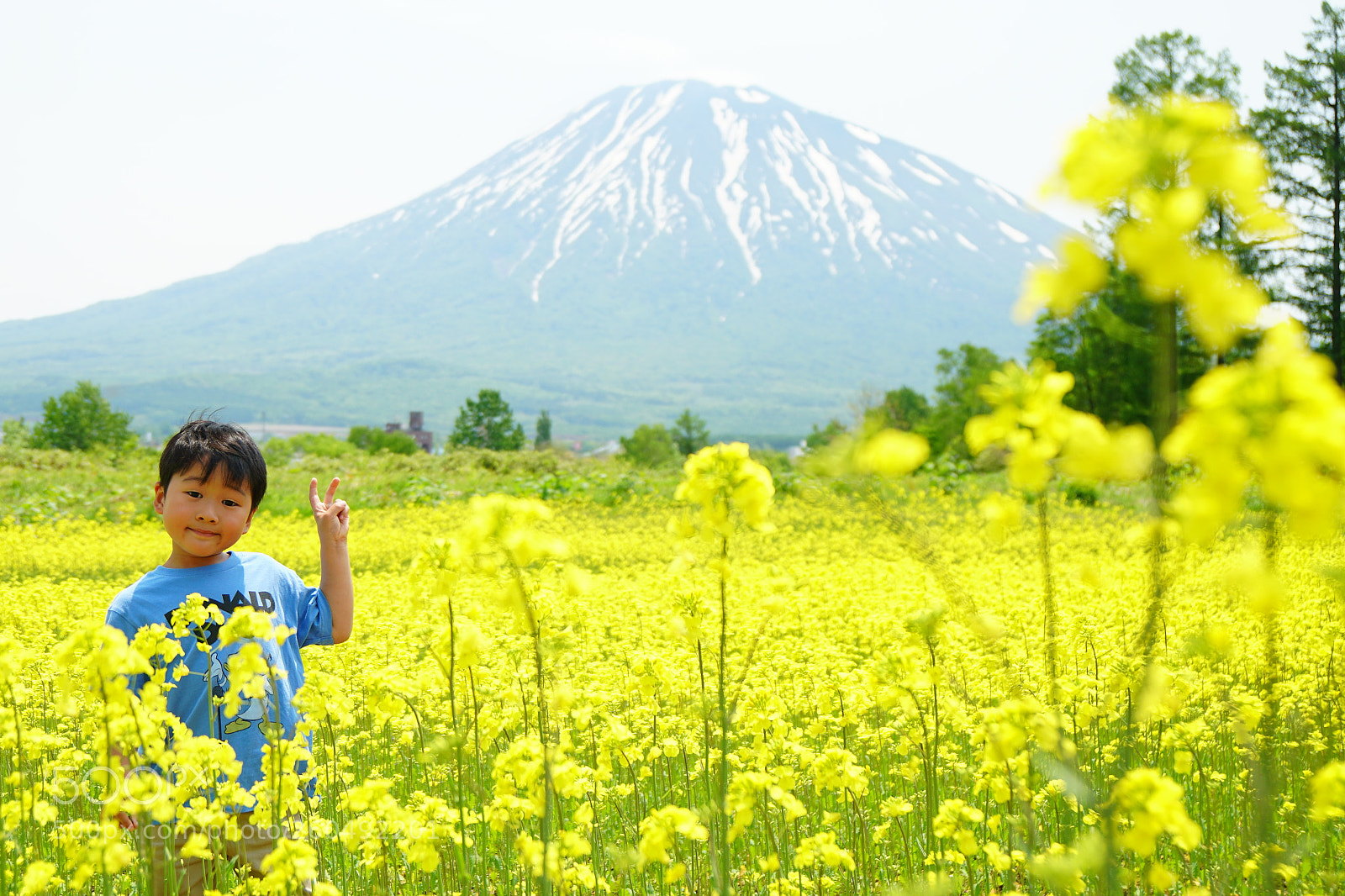 Sony a6300 sample photo. Spring of hokkaido photography