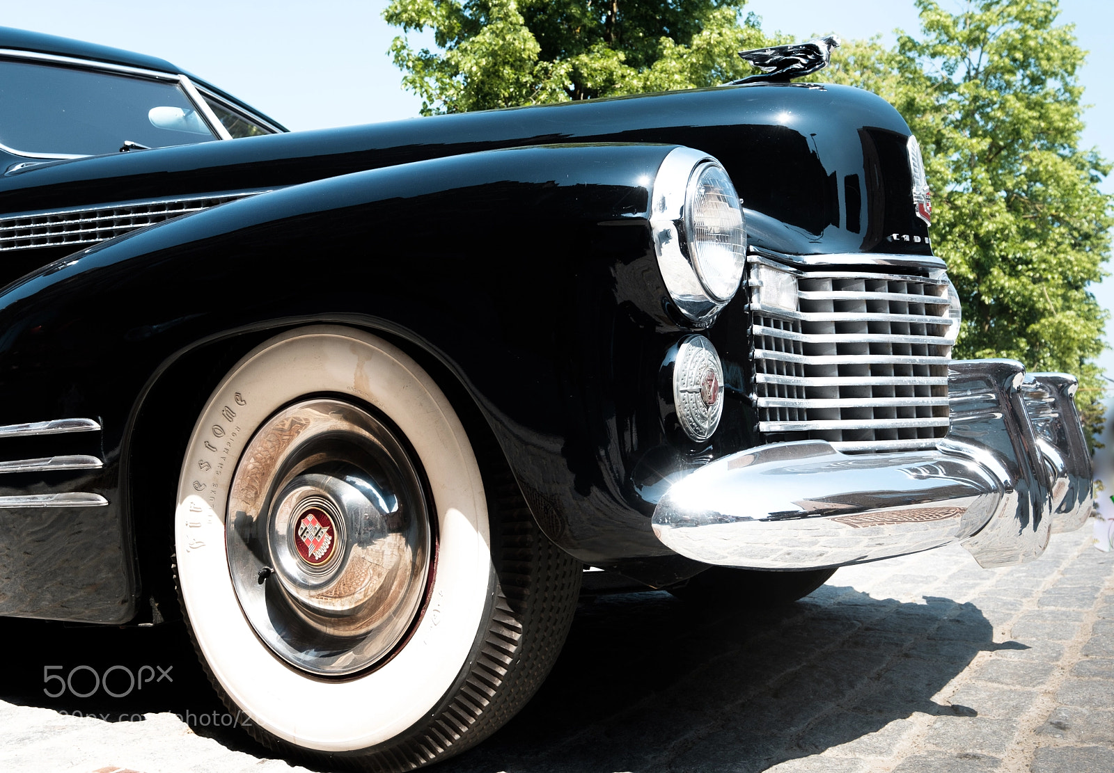 Fujifilm X-T2 sample photo. The caddy in the photography