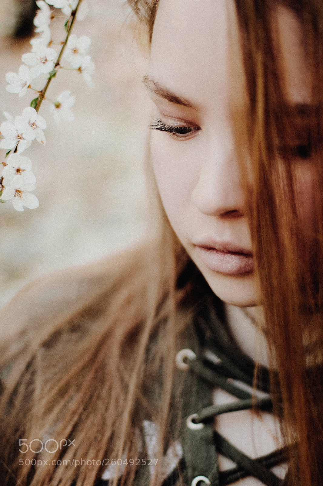 Canon EOS 60D sample photo. 1-4.jpg photography