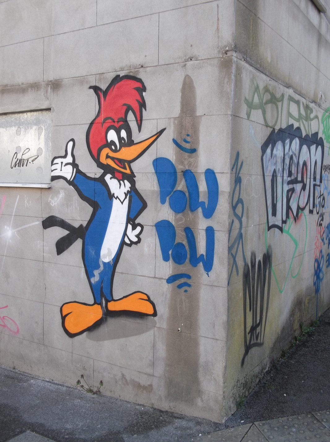 Fujifilm FinePix JV250 sample photo. "pow pow" (woody woodpecker graffiti old market brighton) photography