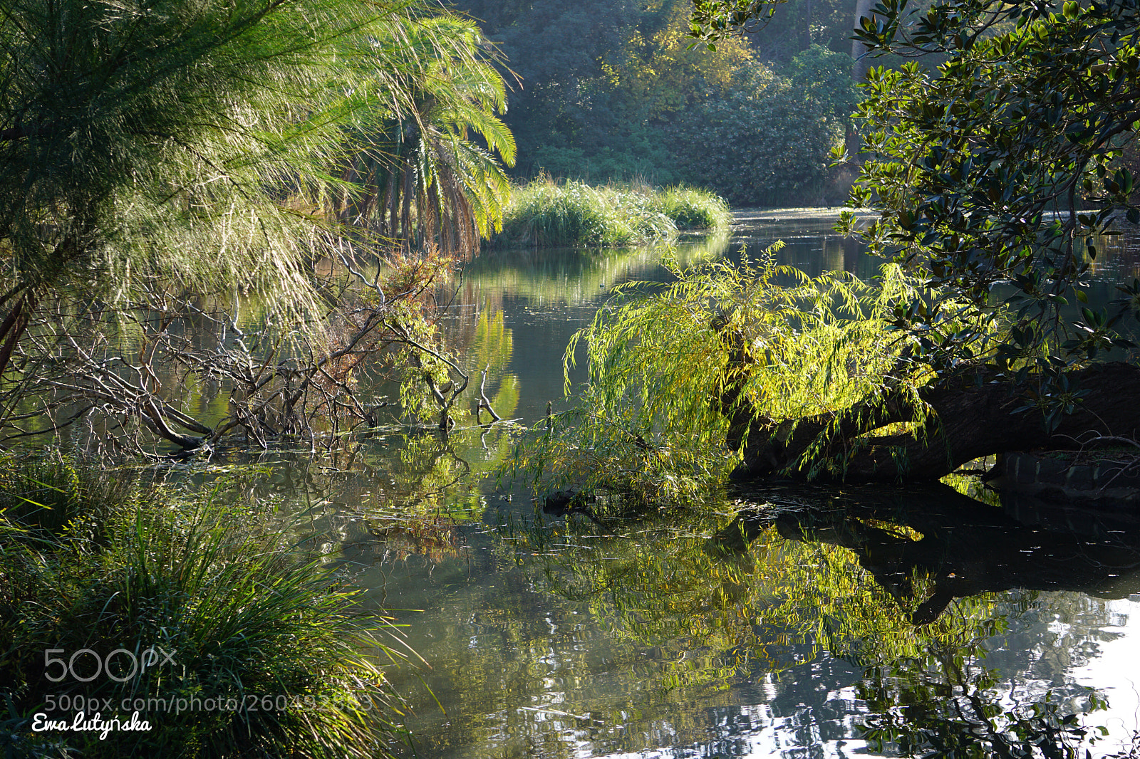 Sony a6000 sample photo. Autumn in australia  photography