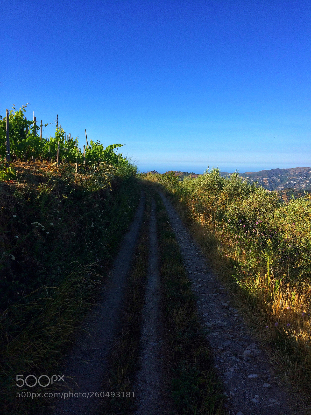 Apple iPhone 5s sample photo. Rural road photography
