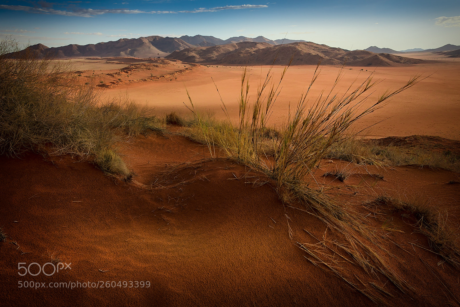 Canon EOS 5D Mark IV sample photo. Evening mood in namibia photography