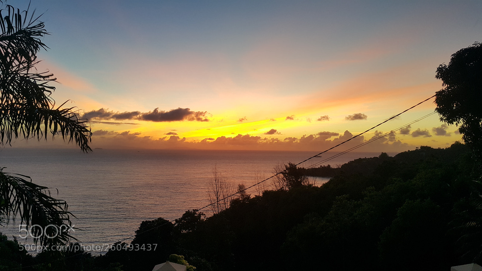 Samsung Galaxy Note4 sample photo. ? photography