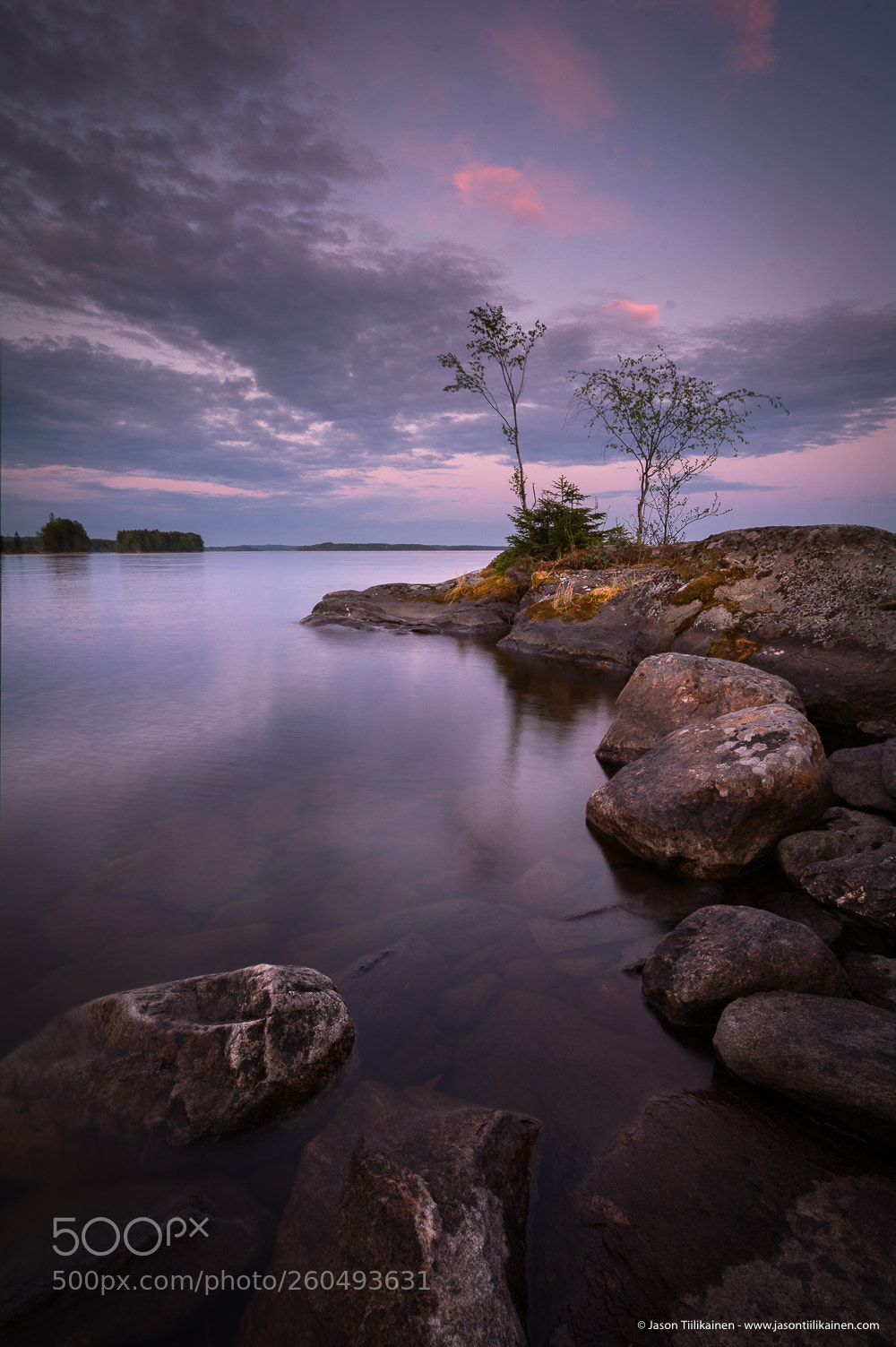 Nikon D7100 sample photo. Jason tiilikainen - purple photography