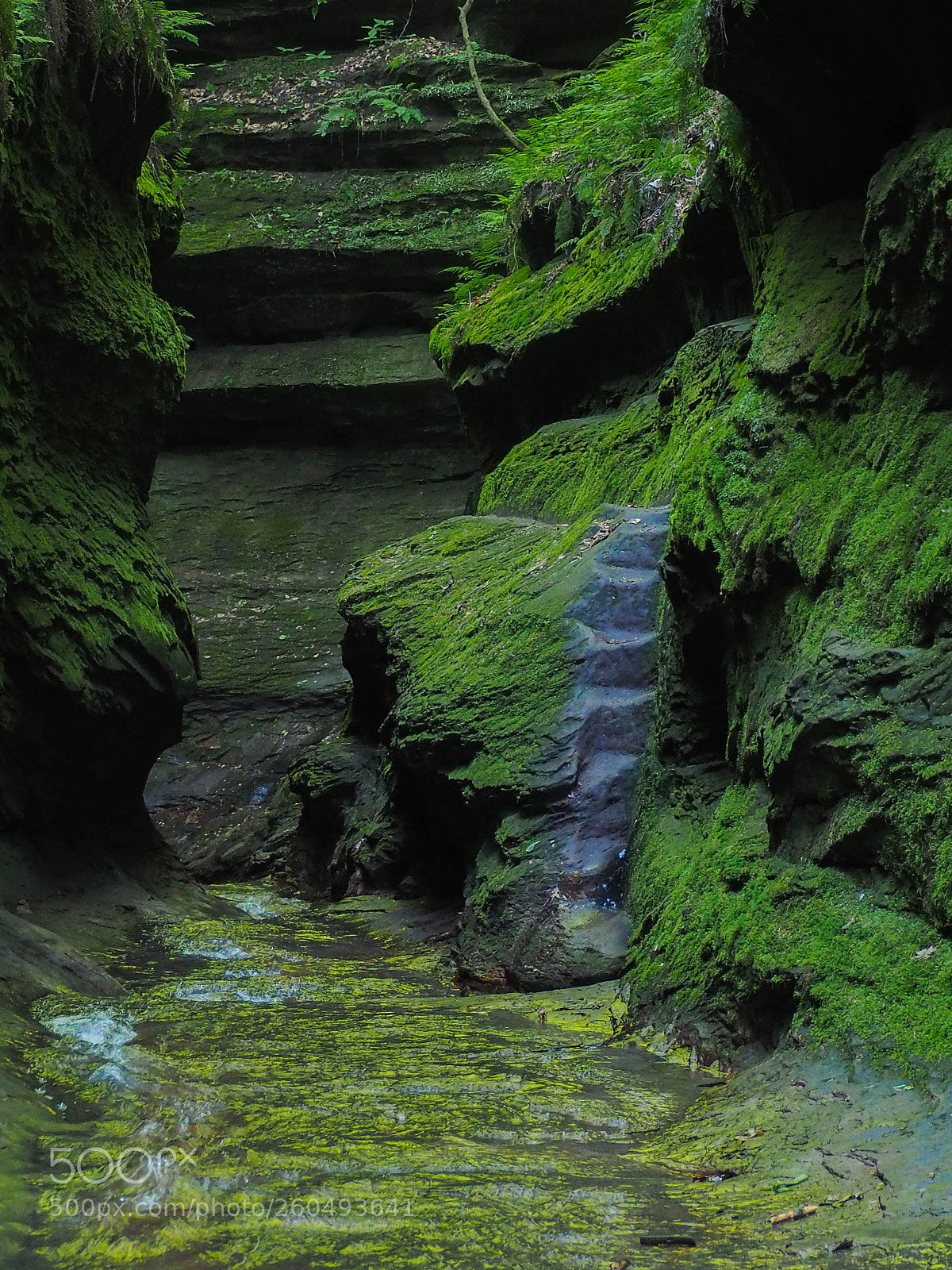 Olympus OM-D E-M1 sample photo. Stair to were? photography