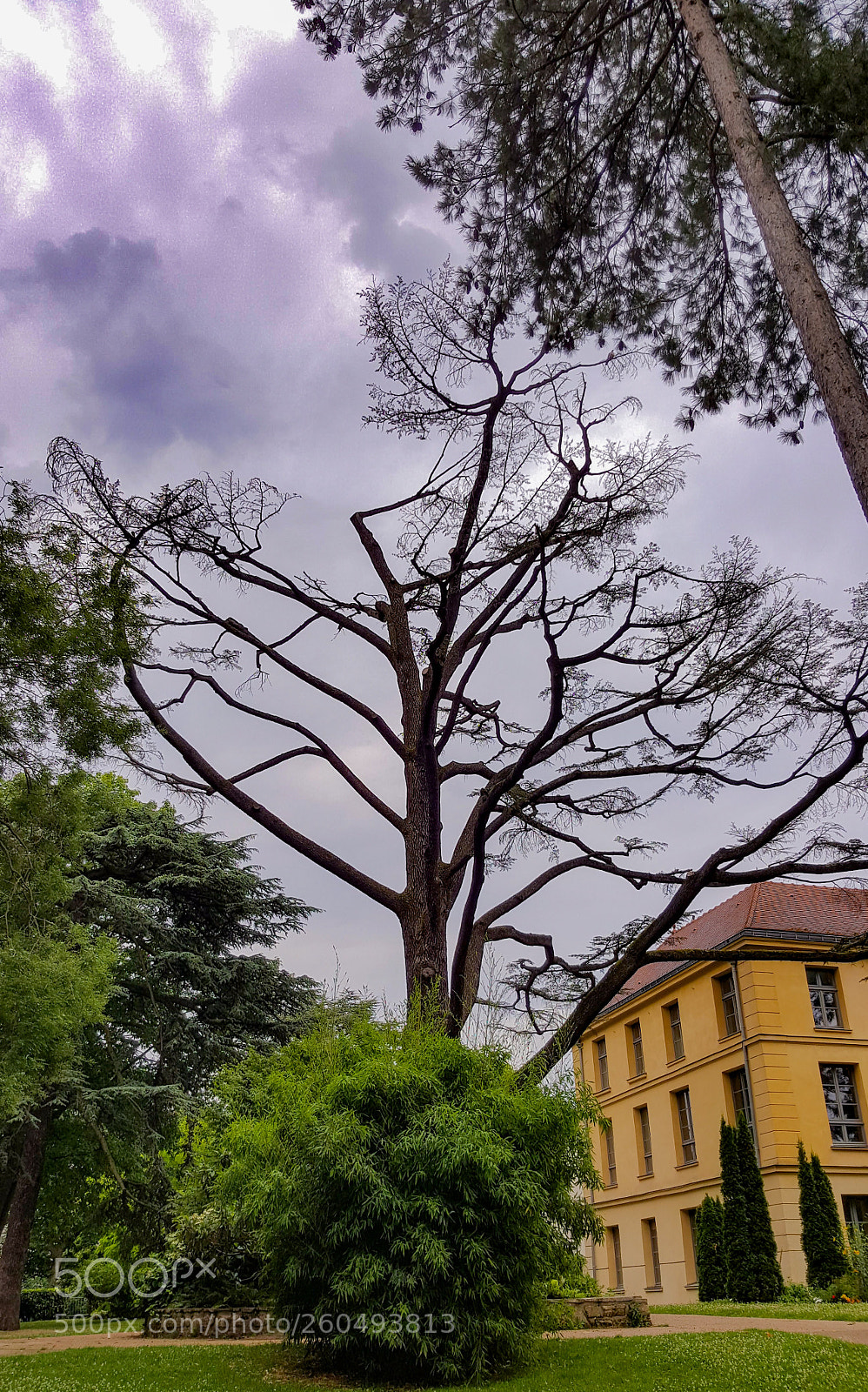 Samsung Galaxy S6 sample photo. Untitled photography