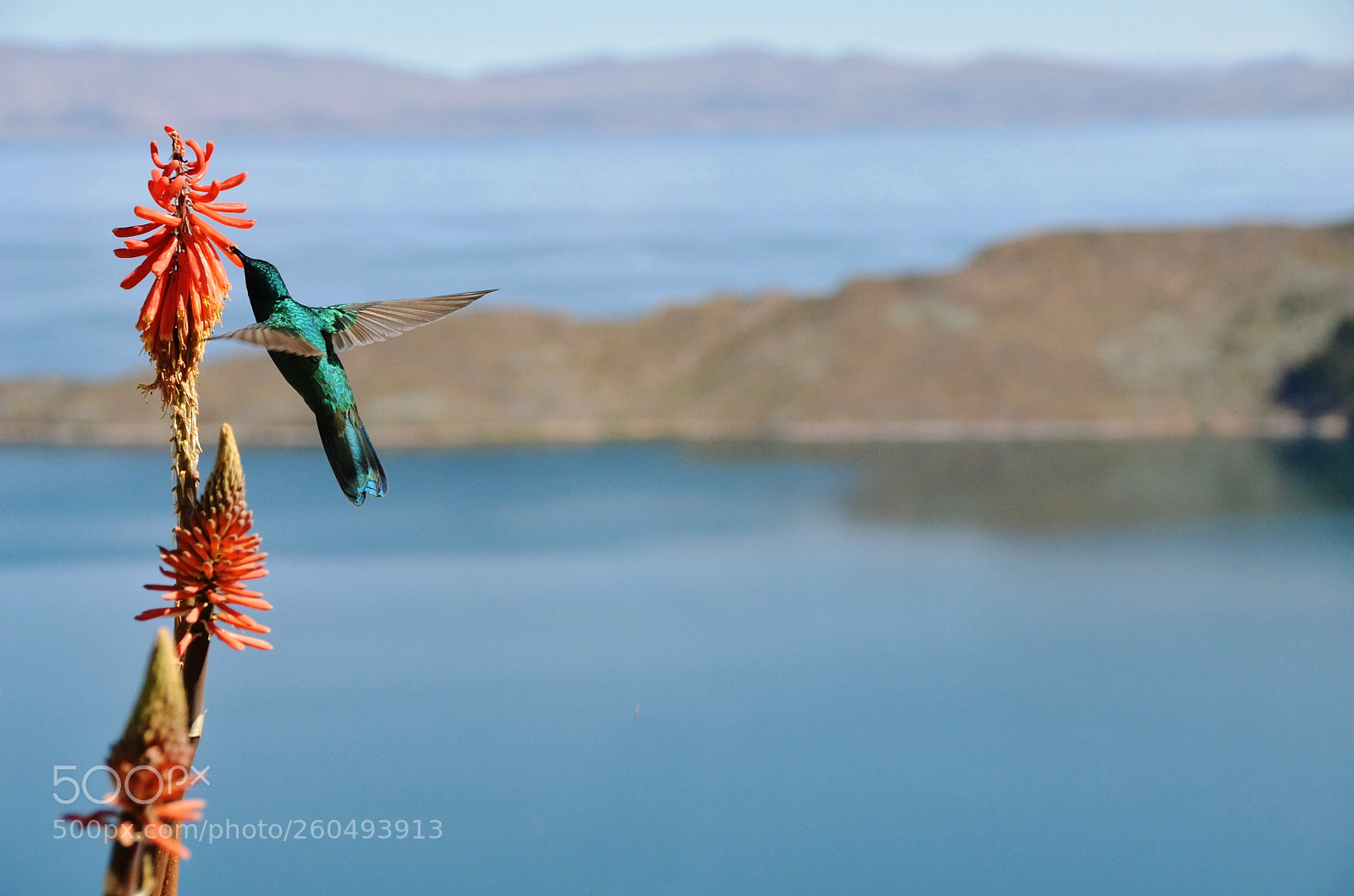Nikon D7000 sample photo. Isla del sol photography